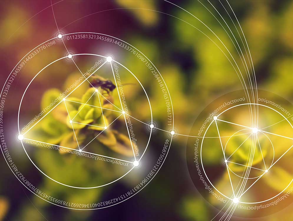 Banner do curso Licenciatura em Matemática