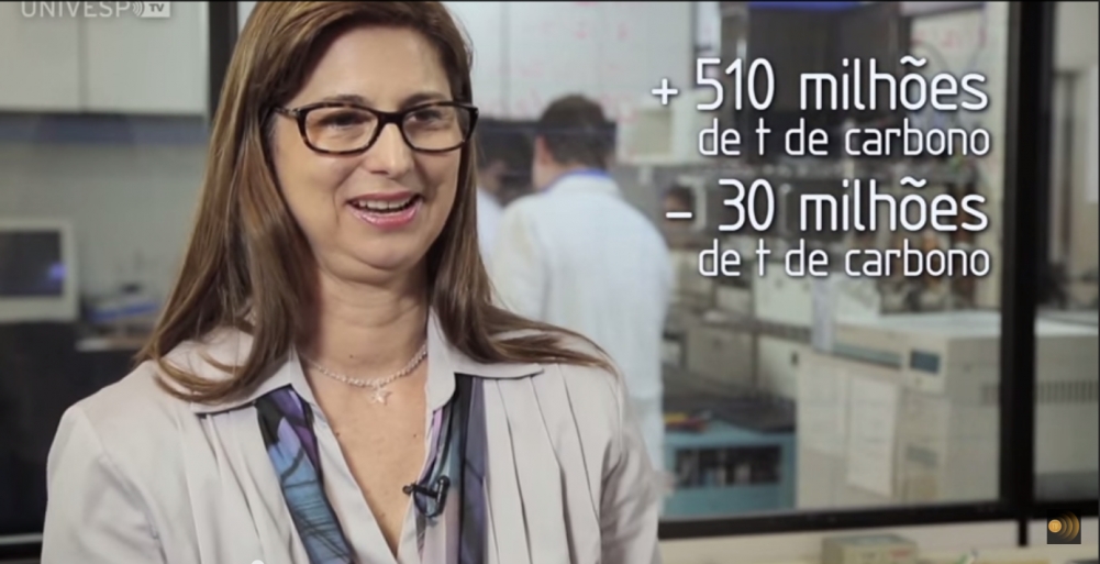 Qual o papel da Amazônia no balanço de emissão de carbono? 