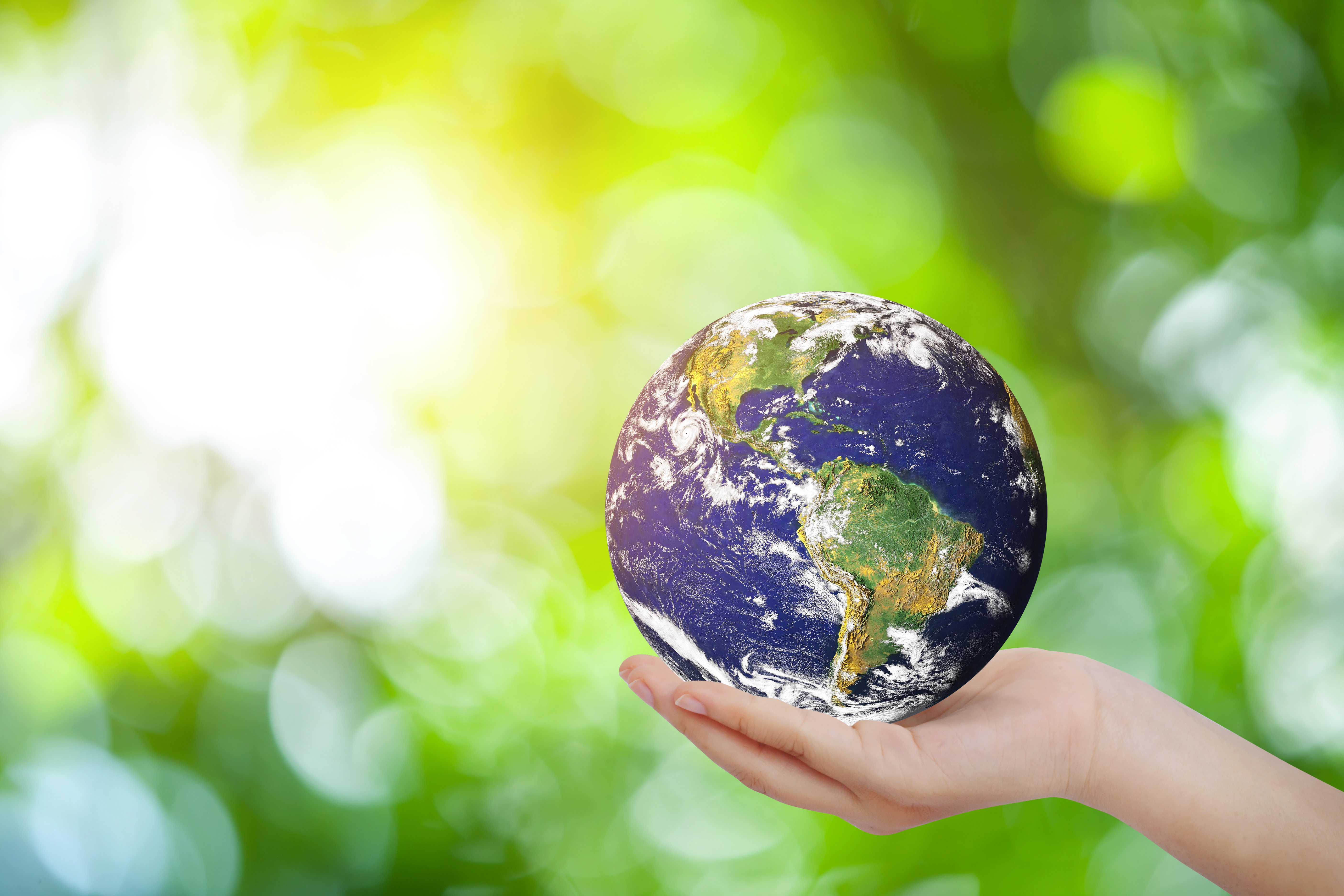 Meio ambiente e sustentabilidade