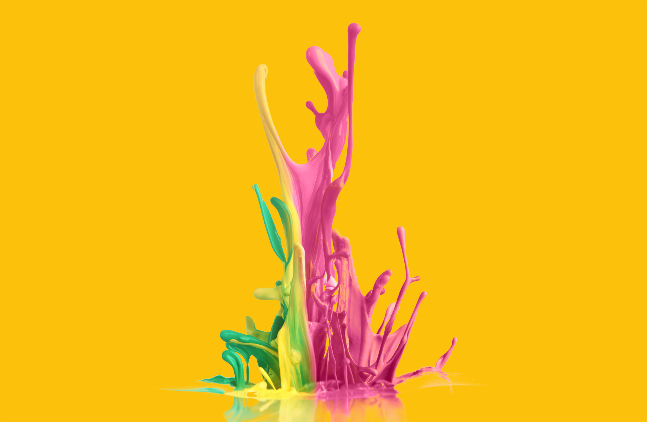 Inscrições para o Prêmio Trote Cidadão Paulista 2020 podem ser feitas até 10/01