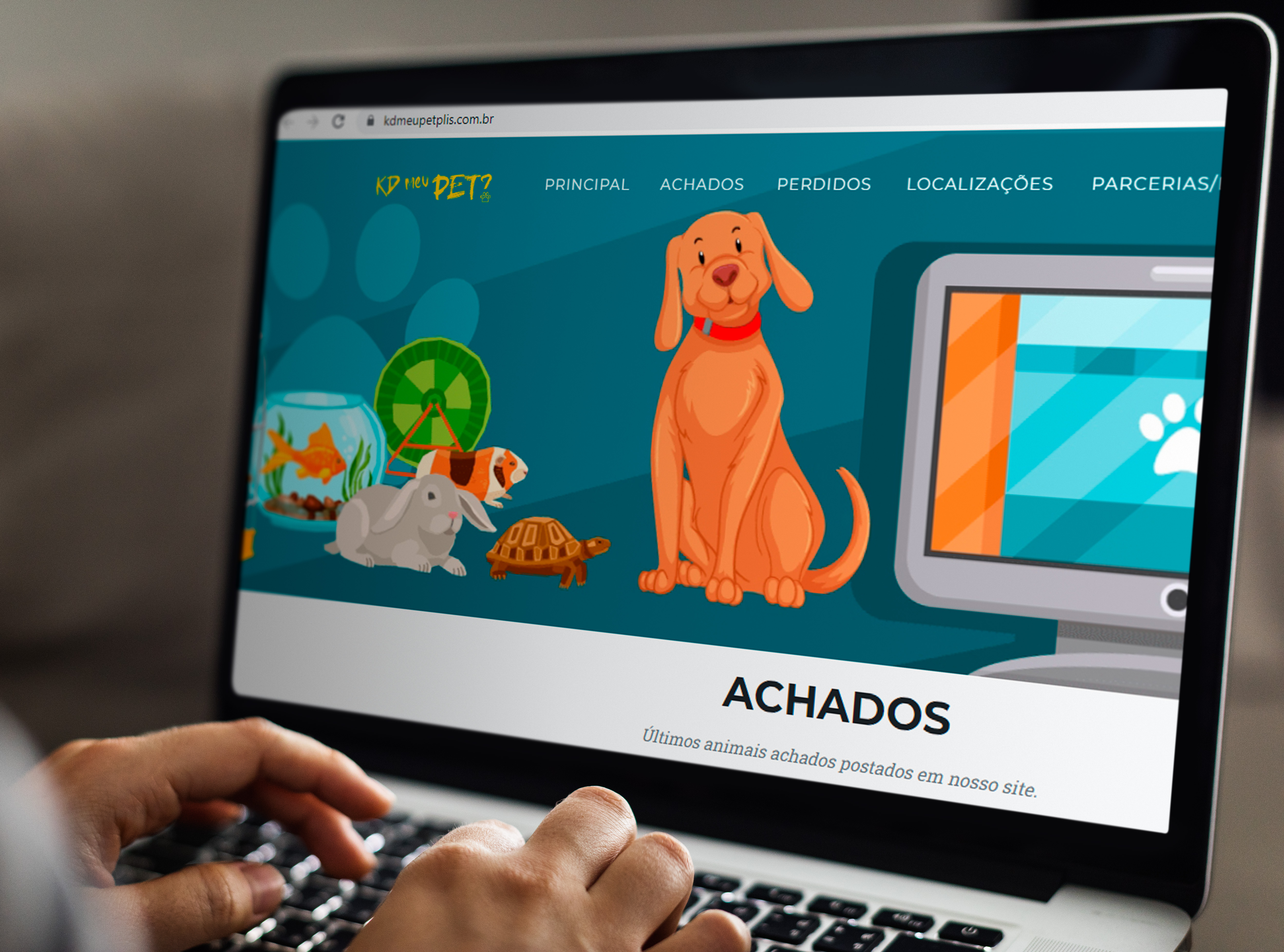Alunos da Univesp desenvolvem plataforma digital que auxilia na localização de pets perdidos 